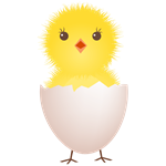 Reduced Early Chick Mortality